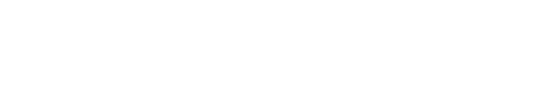 STORO logo