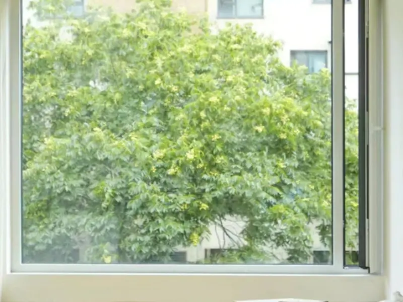 Large picture window open onto a tree in leaf